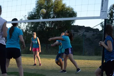 DSC_5306 (Large).JPG